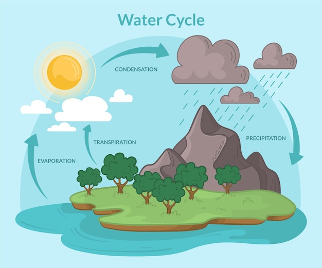 Vettore gratuito ciclo dell'acqua disegnato a mano