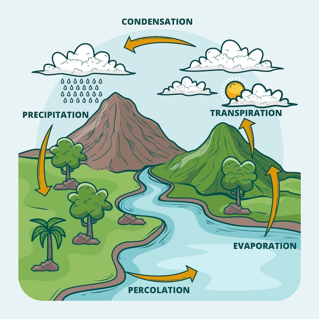 Ciclo dell'acqua disegnato a mano