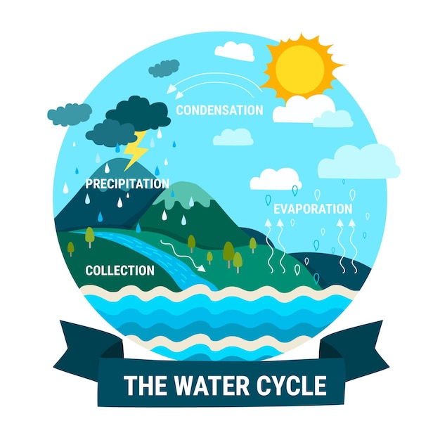 Hand drawn water cycle