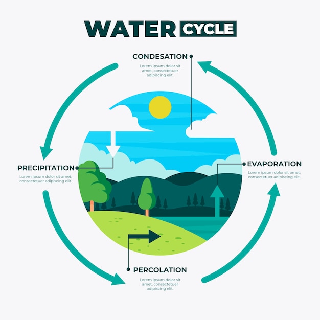 Free vector hand drawn water cycle