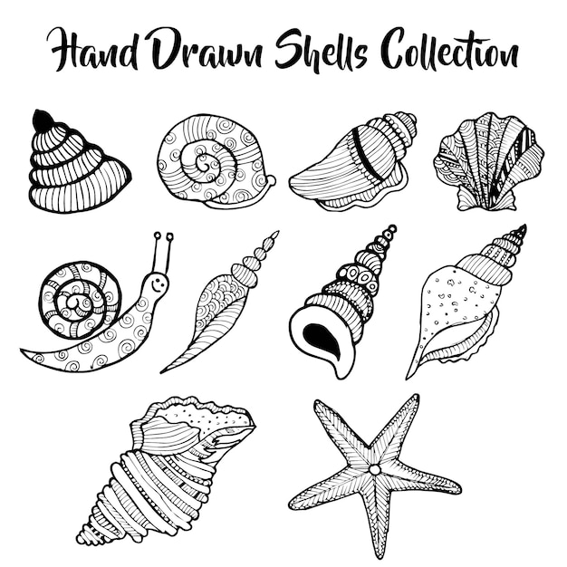 Free vector hand drawn under water shells collection