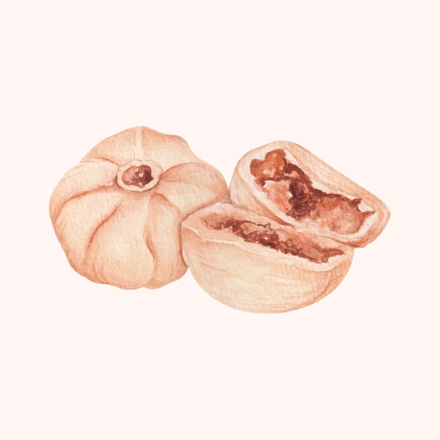 Hand drawn watercolor asianfood momo