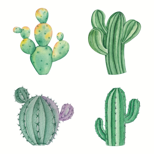 Vettore gratuito collezione di cactus dell'acquerello disegnato a mano