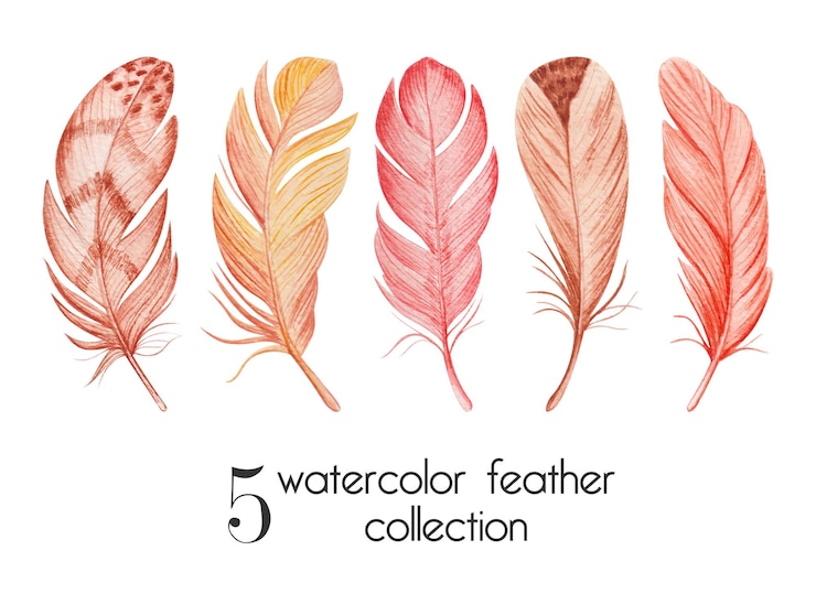 Free Vector hand drawn watercolor feathers set