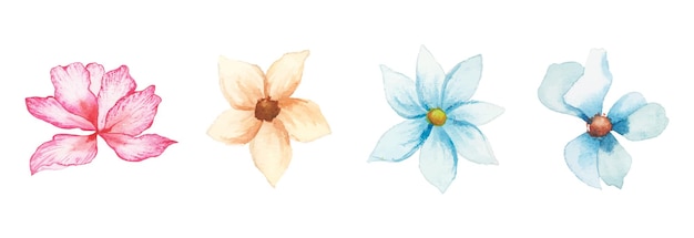 手描き水彩花アートセット