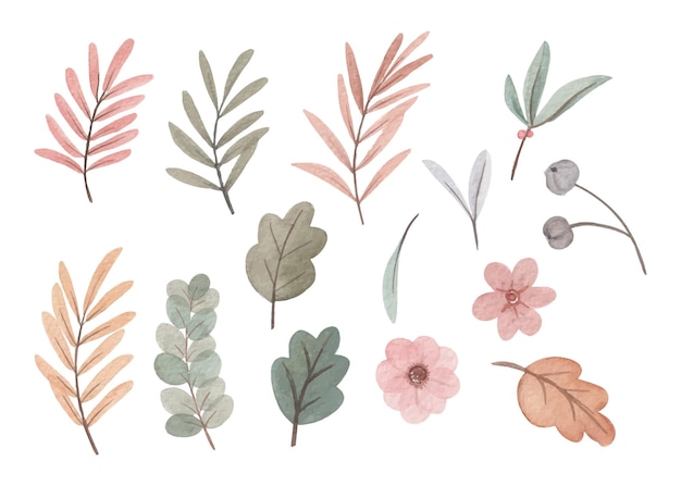 Free vector hand drawn watercolor flower and leaves art set