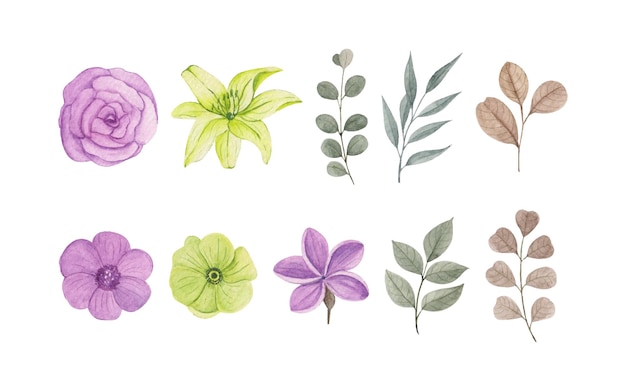 Free vector hand drawn watercolor flower and leaves art set