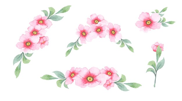 Hand drawn Watercolor Flowers set