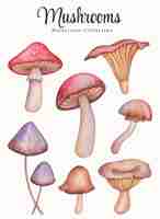 Free vector hand drawn watercolor mushrooms collection