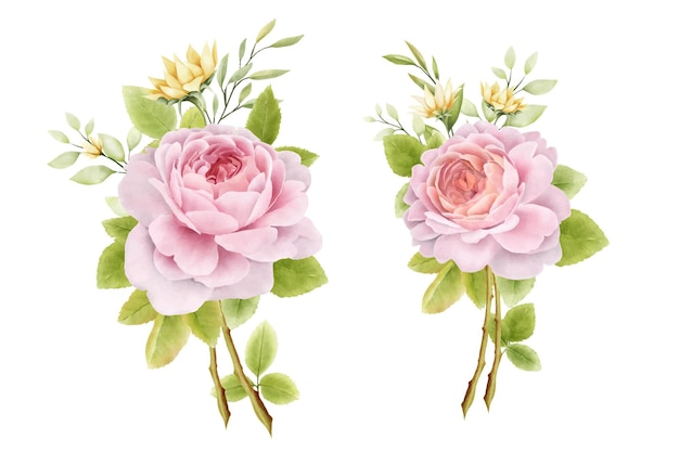 hand drawn watercolor roses bouquets set