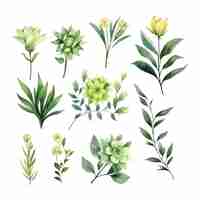 Free vector hand drawn watercolour floral leaves illustration clipart