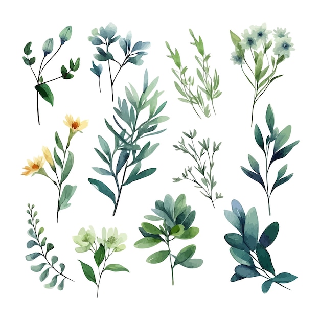 Free vector hand drawn watercolour floral leaves illustration clipart
