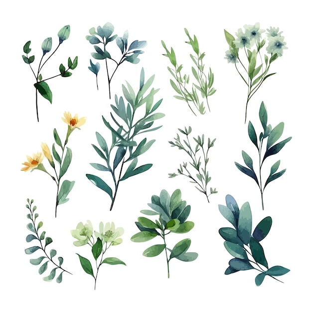 Hand drawn watercolour floral leaves illustration clipart