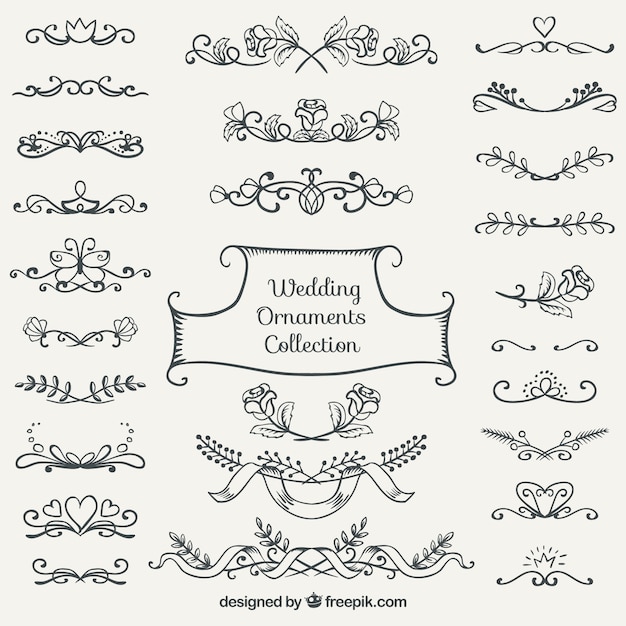 Hand drawn wedding ornament collection