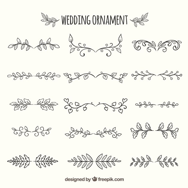 Hand drawn wedding ornament collection