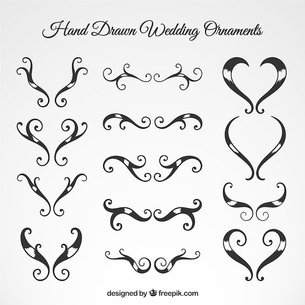 Hand Drawn Wedding Ornaments Collection