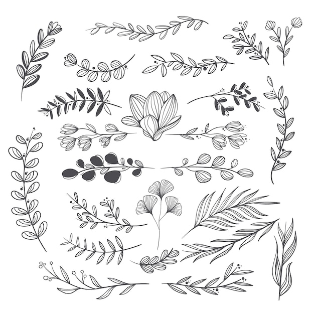 Free vector hand drawn wedding ornaments collection