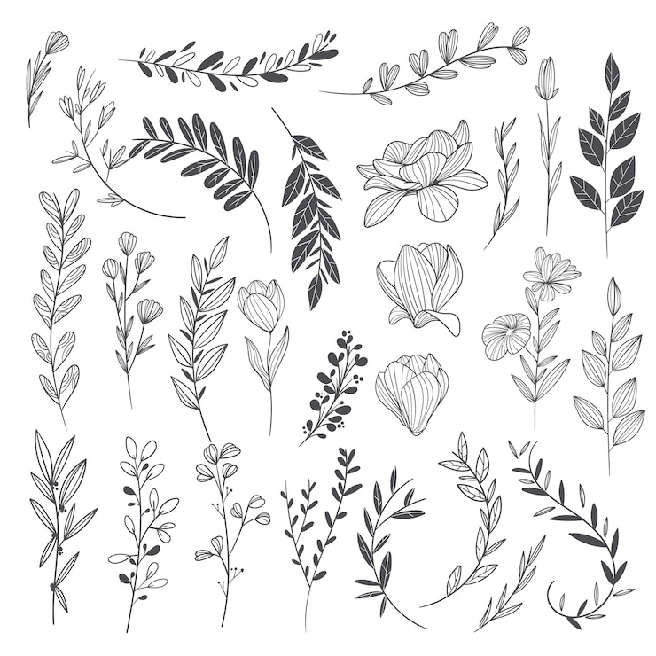 Free Vector hand drawn wedding ornaments