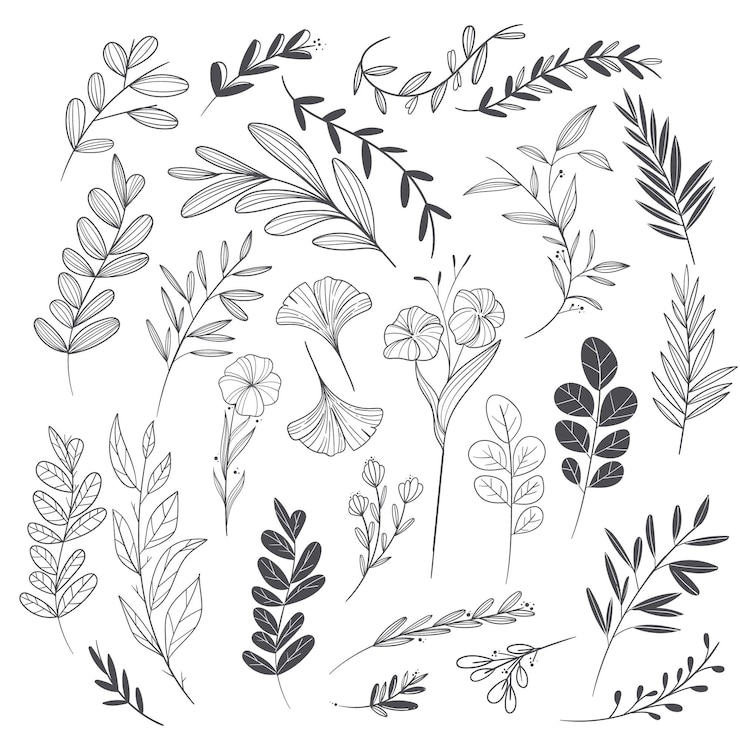 無料Vector 手描きの結婚式の装飾品