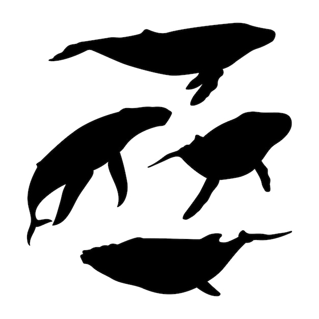 無料ベクター 手描きのクジラのシルエット