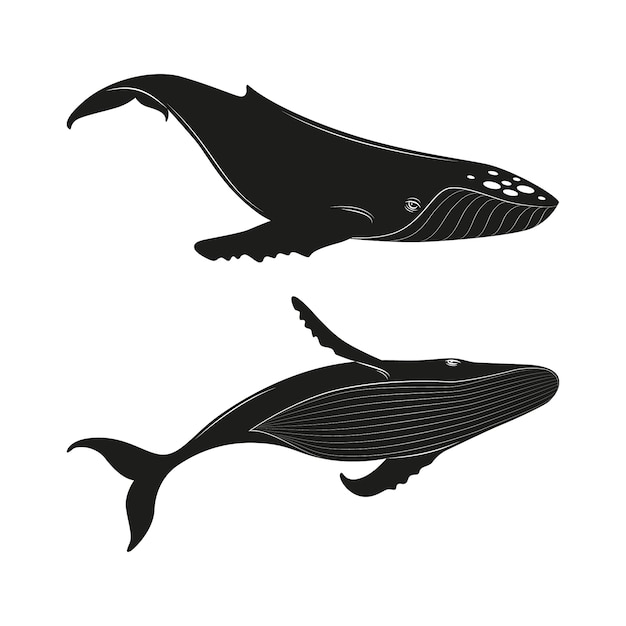 無料ベクター 手描きのクジラのシルエット