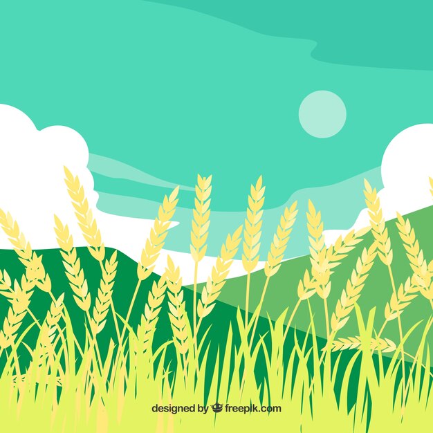 Hand drawn wheat background