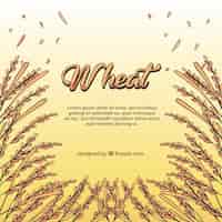 Free vector hand drawn wheat background