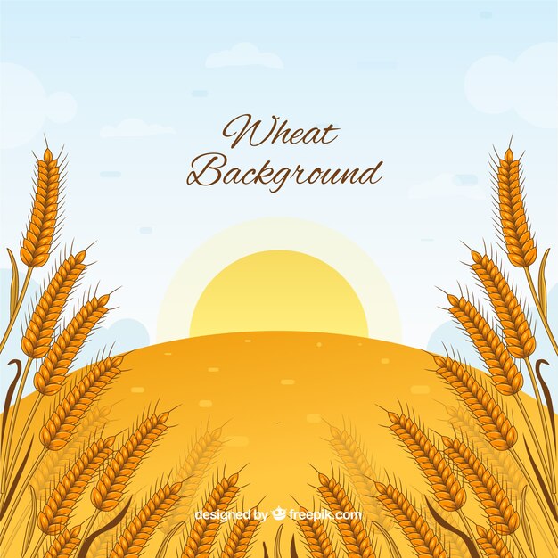 hand drawn wheat background