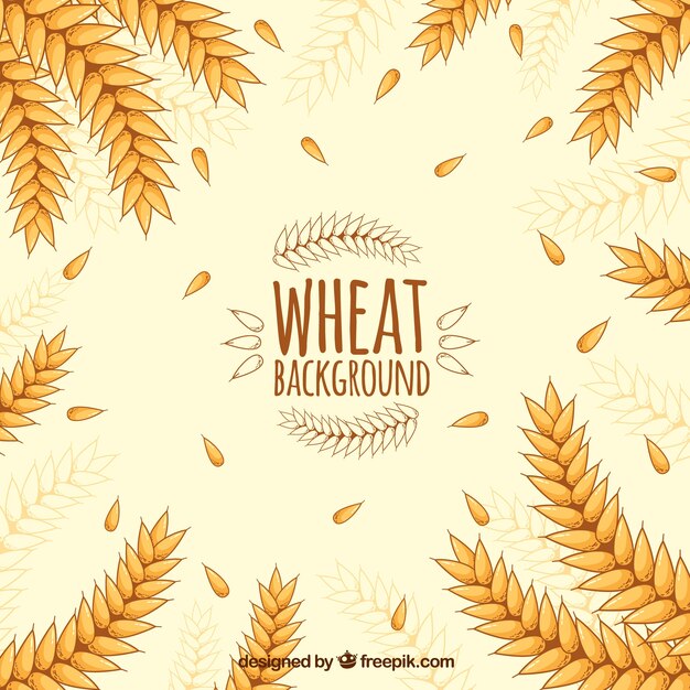 Hand drawn wheat background