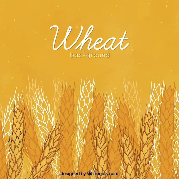 Free vector hand drawn wheat background