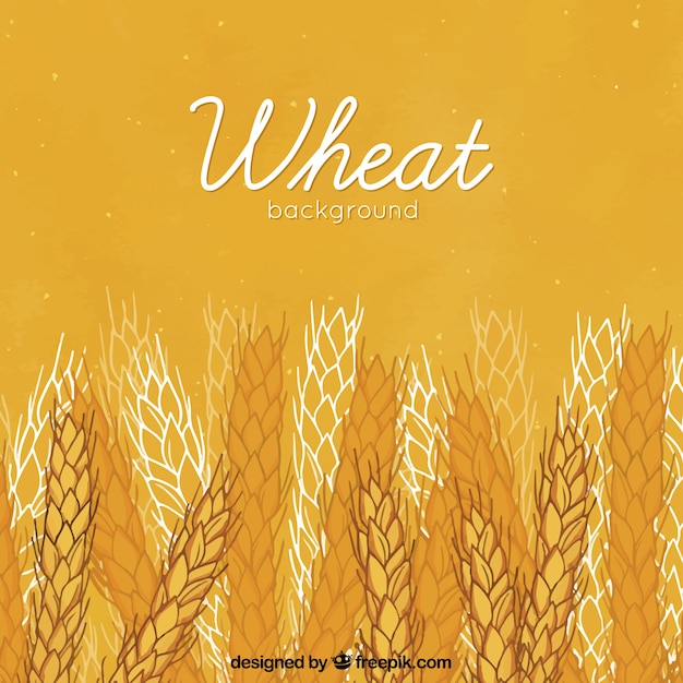 Hand drawn wheat background