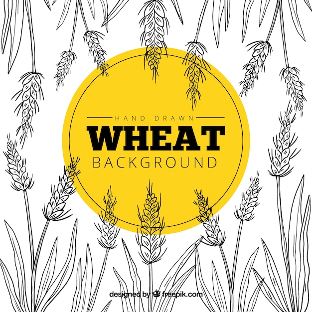 Бесплатное векторное изображение Фон рисованной пшеницы