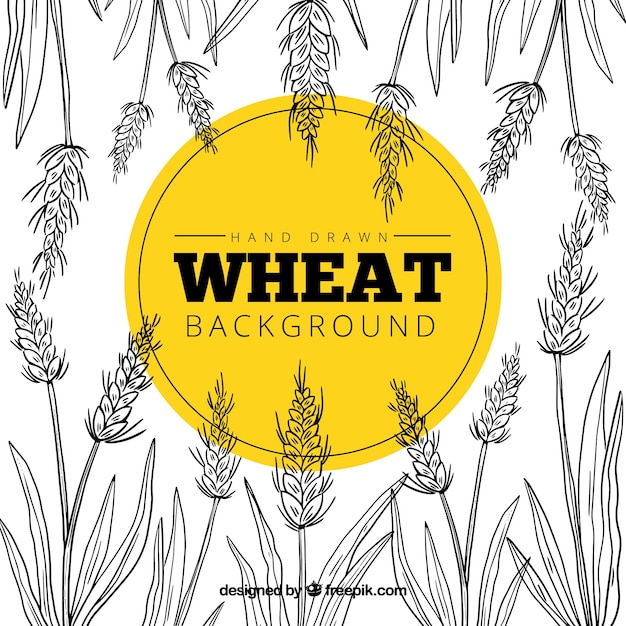 Hand drawn wheat background