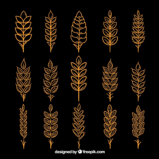 Free vector hand drawn wheat collection