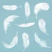 Free vector hand drawn white feather vector element graphic set