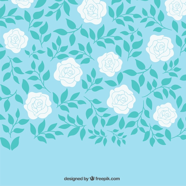 Hand drawn white roses background