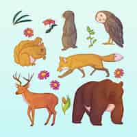Бесплатное векторное изображение Нарисованная рукой иллюстрация диких животных