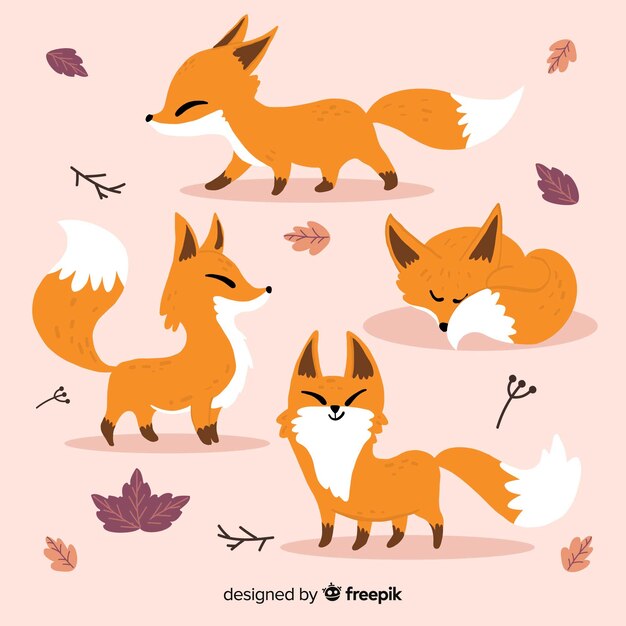 Hand drawn wild fox collection
