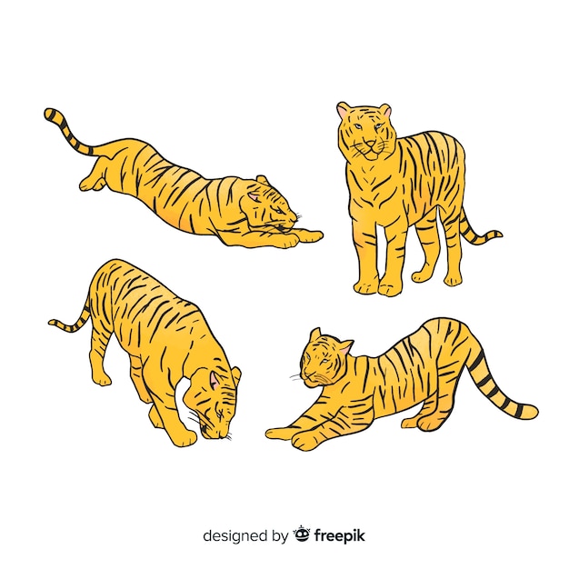 無料ベクター 手描きの野生の虎コレクション