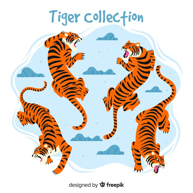 Vettore gratuito collezione di tigre selvaggia disegnata a mano