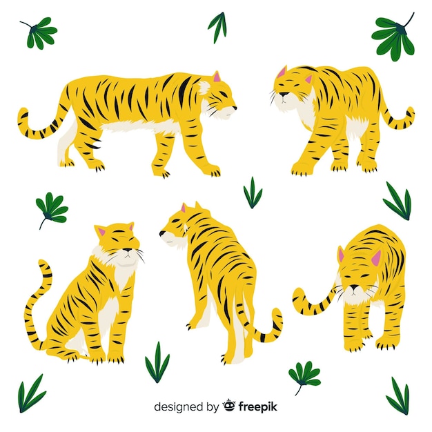 Hand drawn wild tiger collection