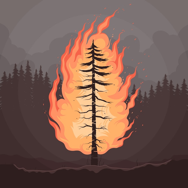 Hand drawn wildfire illustration