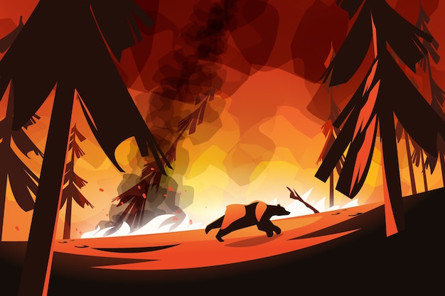 Бесплатное векторное изображение Нарисованная рукой иллюстрация лесного пожара