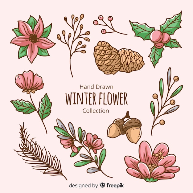 Vettore gratuito collezione di fiori invernali disegnata a mano