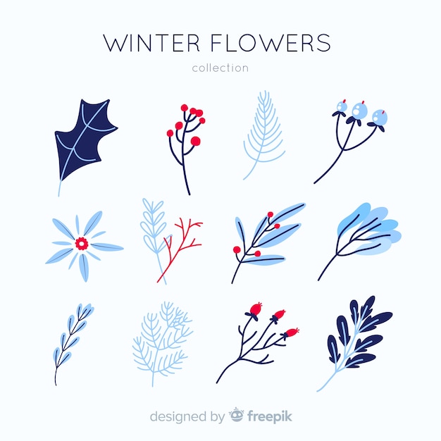 Vettore gratuito collezione di fiori invernali disegnata a mano
