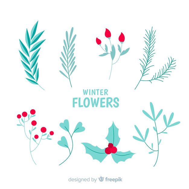 Hand drawn winter flowers pack