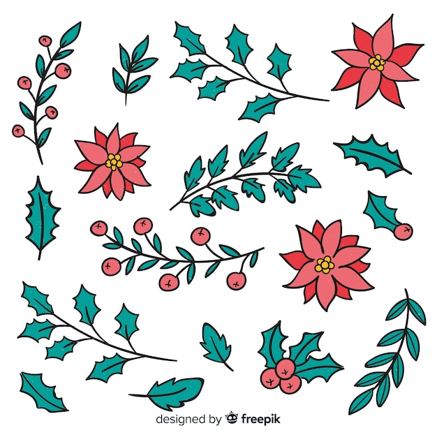 Free vector hand drawn winter flowers