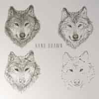 Free vector hand drawn wolf head collection