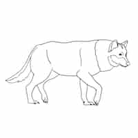 Бесплатное векторное изображение Нарисованная рукой иллюстрация контура волка