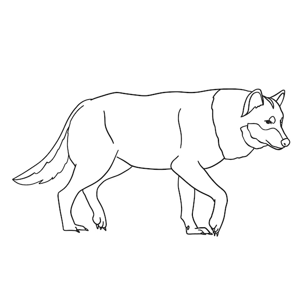 Hand drawn wolf  outline illustration